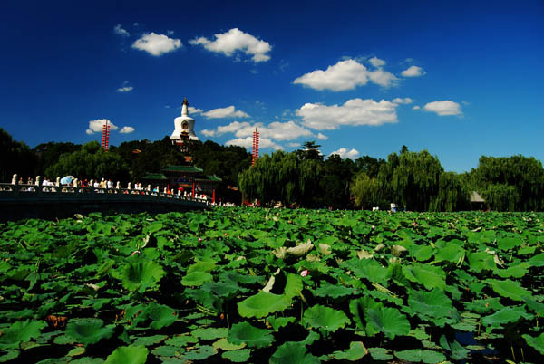 Beihai Park 